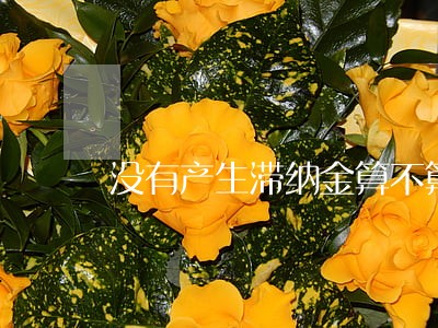 没有产生滞纳金算不算逾期 没有产生滞纳金算不算逾期