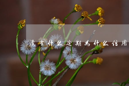 没有什么逾期为什么信用不好 没有什么逾期为什么信用不好