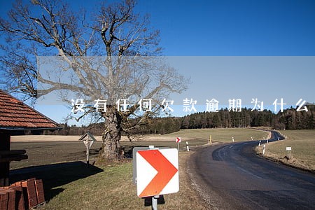 没有任何欠款逾期为什么失信 没有任何欠款逾期为什么失信