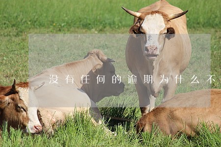 没有任何的逾期为什么不能网贷 没有任何的逾期为什么不能网贷