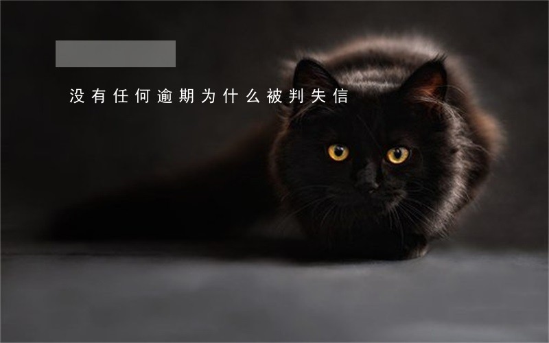 没有任何逾期为什么被判失信 没有任何逾期为什么被判失信