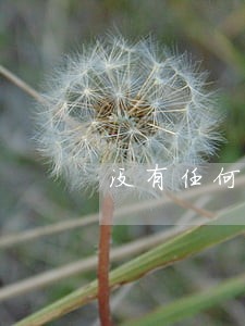 没有任何逾期信用卡申请不 没有任何逾期信用卡申请不