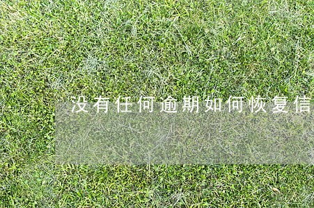 没有任何逾期如何恢复信用 没有任何逾期如何恢复信用