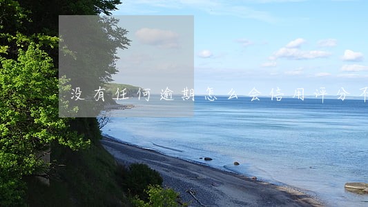 没有任何逾期怎么会信用评分不足