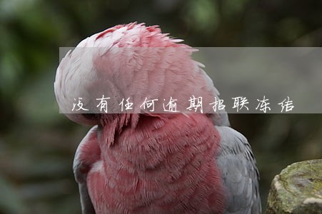 没有任何逾期招联冻结 没有任何逾期招联冻结