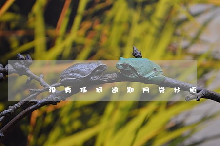 没有任何逾期网贷秒拒 没有任何逾期网贷秒拒