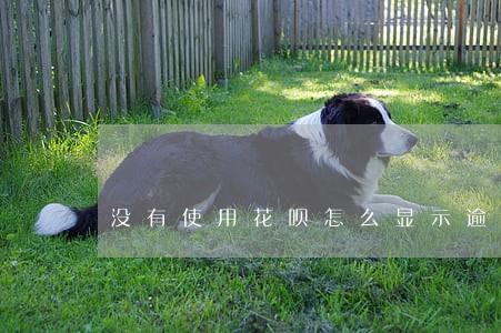 没有使用花呗怎么显示逾期了 没有使用花呗怎么显示逾期了