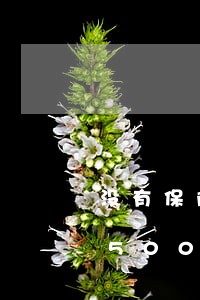 没有保险上路违法吗/2023020765002 没有保险上路违法吗/2023020765002
