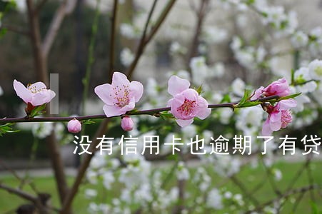 没有信用卡也逾期了有贷款吗 没有信用卡也逾期了有贷款吗