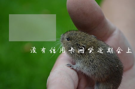 没有信用卡网贷逾期会上征信吗 没有信用卡网贷逾期会上征信吗