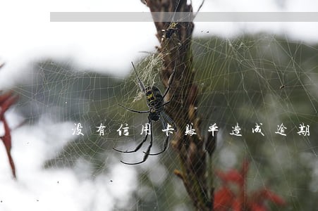 没有信用卡账单造成逾期 没有信用卡账单造成逾期