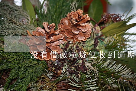 没有借微粒贷但收到逾期信息 没有借微粒贷但收到逾期信息