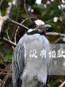 没有借款但是收到逾期信息 没有借款但是收到逾期信息