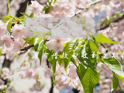 没有借款却收到逾期催收信息 没有借款却收到逾期催收信息