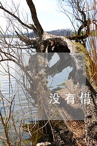 没有借款却显示有逾期 没有借款却显示有逾期