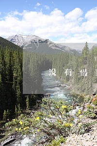 没有借款却逾期 没有借款却逾期