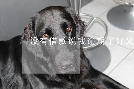 没有借款说我逾期了好又贷 没有借款说我逾期了好又贷