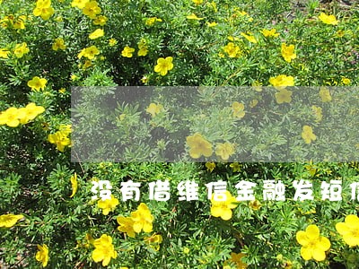 没有借维信金融发短信说逾期 没有借维信金融发短信说逾期