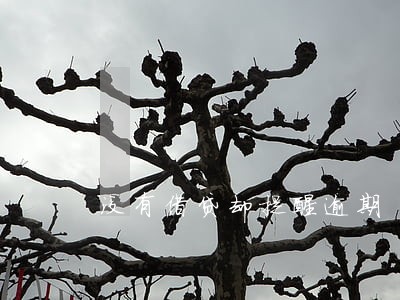 没有借贷却提醒逾期 没有借贷却提醒逾期
