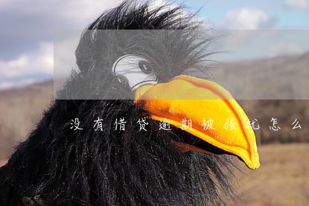 没有借贷逾期被骚扰怎么办 没有借贷逾期被骚扰怎么办