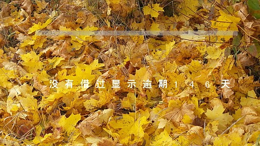 没有借过显示逾期146天 没有借过显示逾期146天