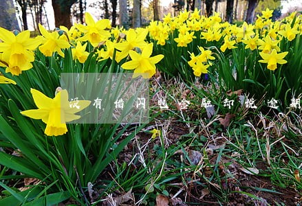 没有借闪电金融却说逾期 没有借闪电金融却说逾期
