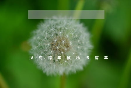 没有停车被违法停车 没有停车被违法停车