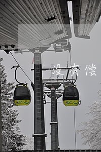 没有偿还能力只还本金 没有偿还能力只还本金