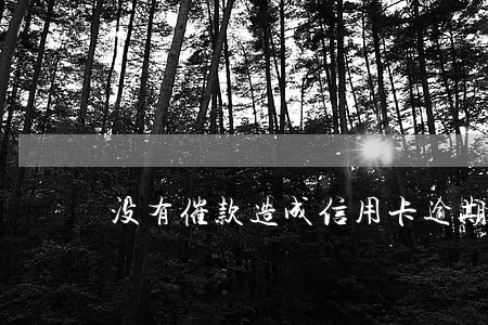 没有催款造成信用卡逾期 没有催款造成信用卡逾期