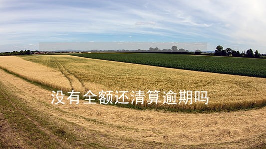 没有全额还清算逾期吗 没有全额还清算逾期吗