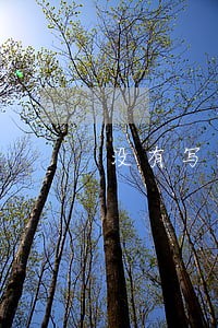 没有写利息的借条逾期了 没有写利息的借条逾期了