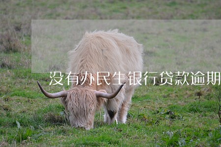 没有办民生银行贷款逾期 没有办民生银行贷款逾期