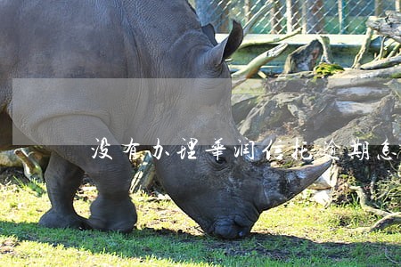 没有办理华润信托逾期怎么办
