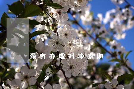 没有办理对冲逾期 没有办理对冲逾期