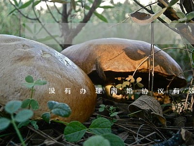 没有办理离婚协议有效吗 没有办理离婚协议有效吗