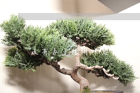 没有办过信用卡怎么说我有逾期 没有办过信用卡怎么说我有逾期