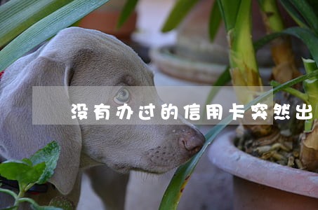 没有办过的信用卡突然出现逾期