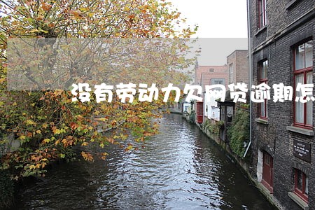 没有劳动力欠网贷逾期怎么办 没有劳动力欠网贷逾期怎么办