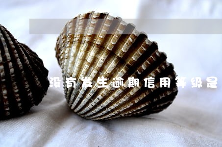 没有发生逾期信用等级是多少 没有发生逾期信用等级是多少