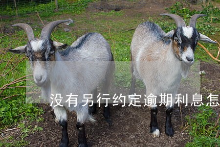 没有另行约定逾期利息怎么算 没有另行约定逾期利息怎么算