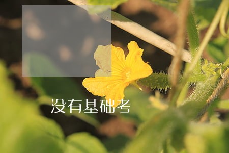 没有基础考 没有基础考