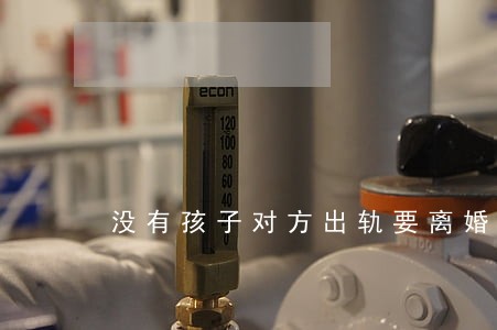 没有孩子对方出轨要离婚吗 没有孩子对方出轨要离婚吗
