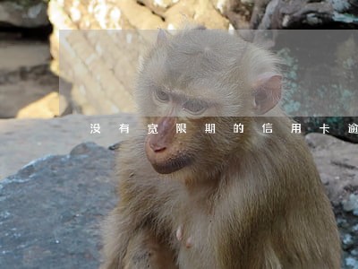 没有宽限期的信用卡逾期怎么收费