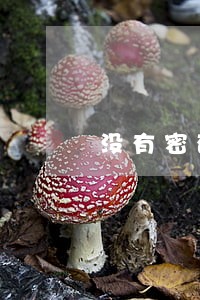 没有密码银行卡法院能查到吗 没有密码银行卡法院能查到吗