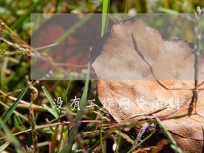 没有工作网贷逾期 没有工作网贷逾期