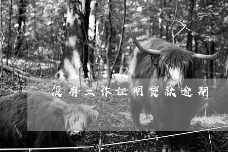 没有工作证明贷款逾期