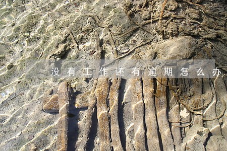 没有工作还有逾期怎么办 没有工作还有逾期怎么办
