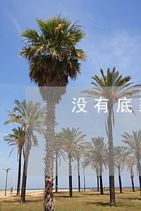 没有底薪工资违法不 没有底薪工资违法不