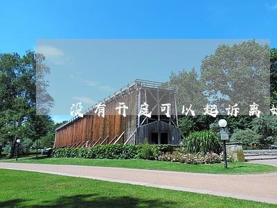 没有开庭可以起诉离婚吗 没有开庭可以起诉离婚吗