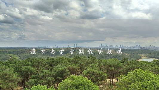 没有当前逾期能贷款吗 没有当前逾期能贷款吗